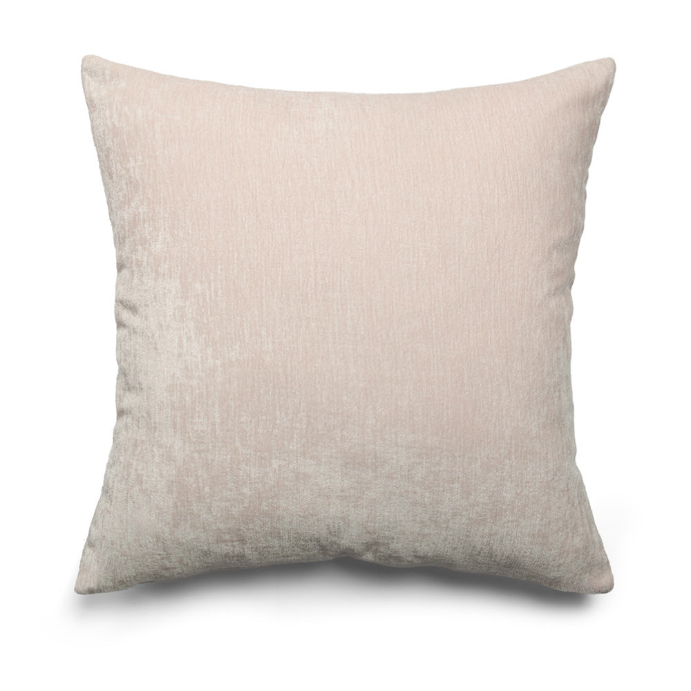 Dotted Boston Terrier