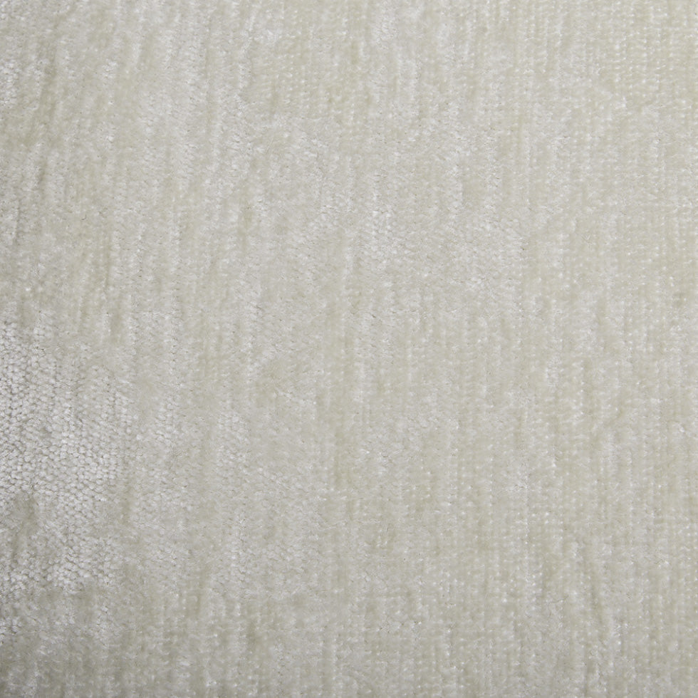 Dotted Boston Terrier