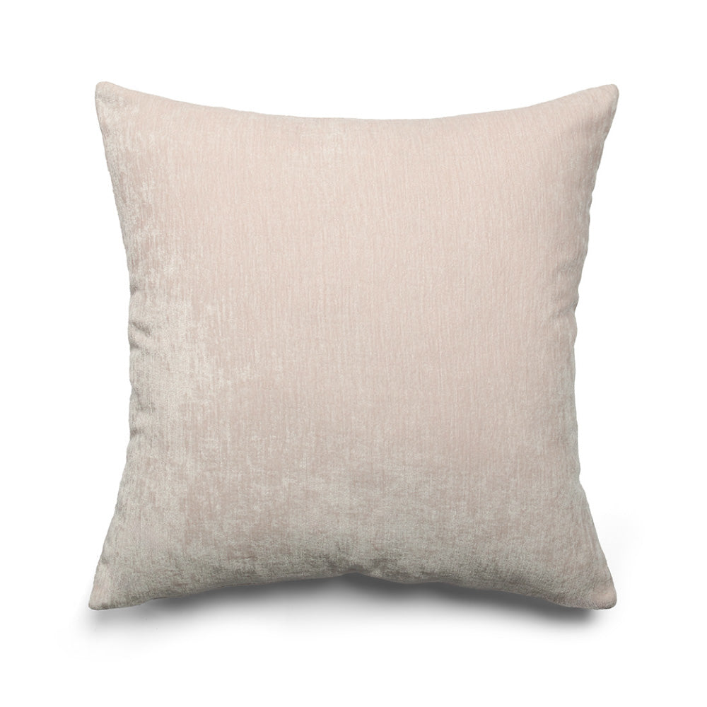 Triangle Boston Terrier